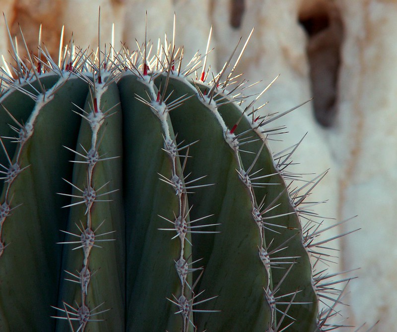 Solving My Saddle&nbsp;Pain